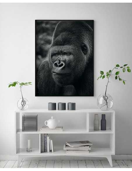 Plakat goryl, czarno biała grafika do ramki ze zwierzętami. Portret małpy, dzikiego zwierzęcia.