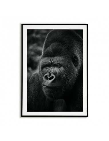 Gorilla poster, black and white artwork for a frame with animals. Portrait of a monkey, a wild animal. Gorilla poster, black and white artwork for a frame with animals. Portrait of a monkey, a wild animal.