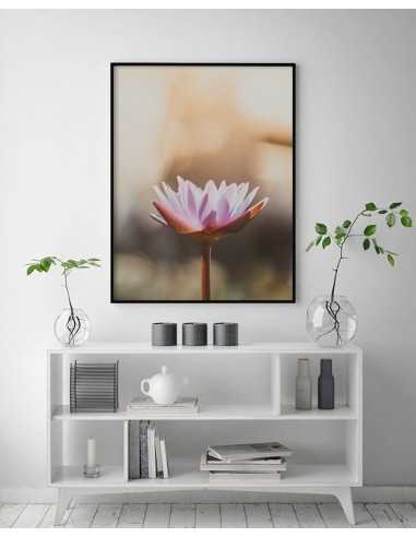 A poster with a water lily, beautiful artwork for a frame with a flower. A poster with a water lily, beautiful artwork for a frame with a flower.