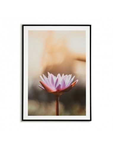 A poster with a water lily, beautiful artwork for a frame with a flower. A poster with a water lily, beautiful artwork for a frame with a flower.