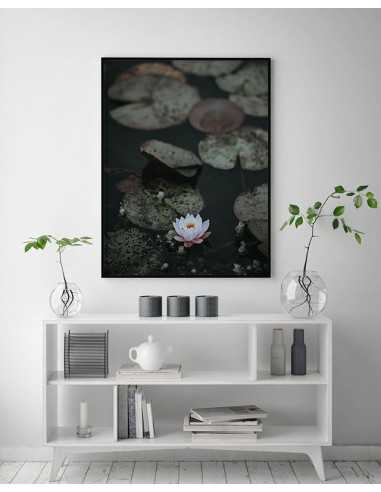 Plakat do ramki Lilia Wodna unosząca się na wodzie. Piękna grafika wydrukowana w kolorze. Plakat do ramki Lilia Wodna unosząca się na wodzie. Piękna grafika wydrukowana w kolorze.