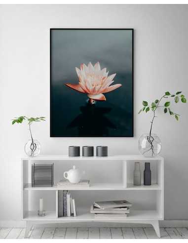 A poster for a frame with a faded pink water lily flower, beautiful graphics A poster for a frame with a faded pink water lily flower, beautiful graphics