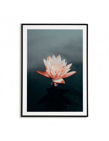 A poster for a frame with a faded pink water lily flower, beautiful graphics A poster for a frame with a faded pink water lily flower, beautiful graphics