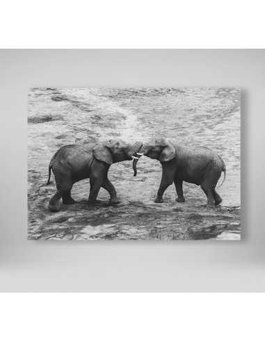Two beautiful elephants - Black-white... Two beautiful elephants - Black-white...