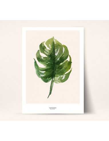 Home poster - Monstera Botaniczny -... Home poster - Monstera Botaniczny -...