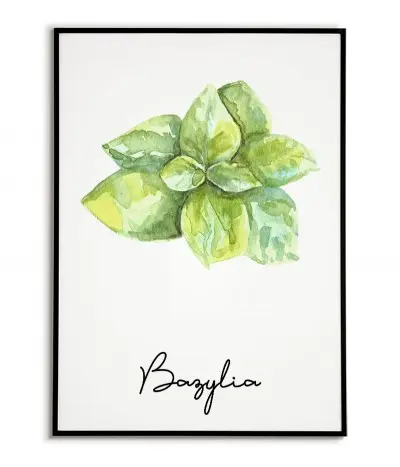Basil poster - Graphic,...