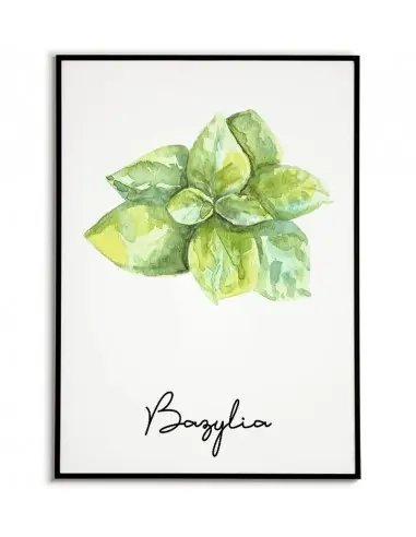 Basil poster - Graphic, herbs poster... Basil poster - Graphic, herbs poster...