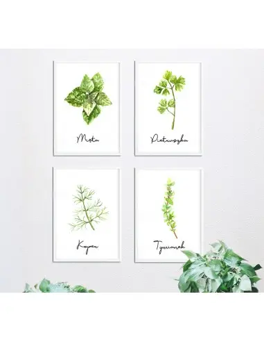 Dill poster - Graphics, poster of... Dill poster - Graphics, poster of...