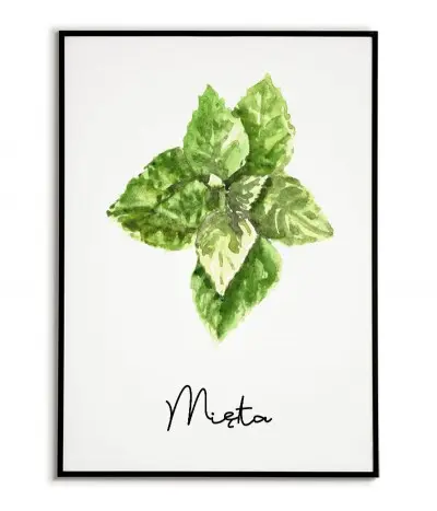 Plakat Mięta - Grafika,...