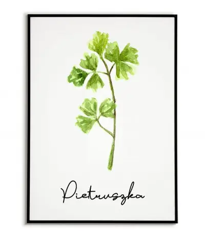 Parsley poster - Graphic,...
