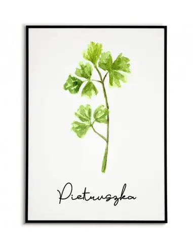 Parsley poster - Graphic, herbs...
