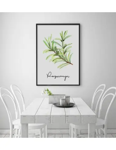 Rosemary poster - Graphic, herbs...