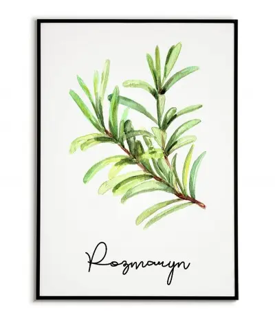 Rosemary poster - Graphic,...