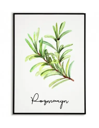Plakat rozmaryn, plakat zioła do kuchni. Grafika przedstawiająca rozmaryn z napisem Plakat rozmaryn, plakat zioła do kuchni. Grafika przedstawiająca rozmaryn z napisem