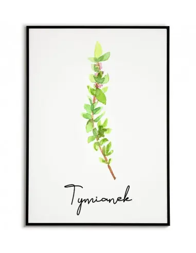 Thyme poster - Artwork, poster of...