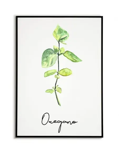 Plakat oregano, plakat zioła do kuchni. Grafika przedstawiająca oregano z napisem