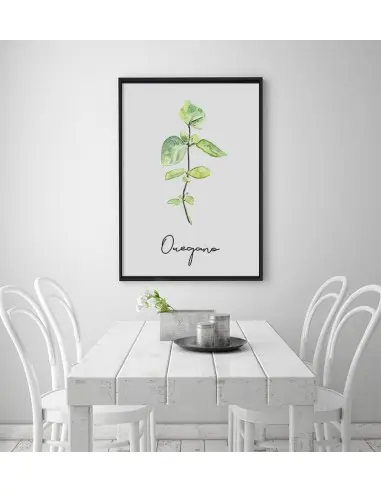 Oregano poster - Graphics, herbs... Oregano poster - Graphics, herbs...