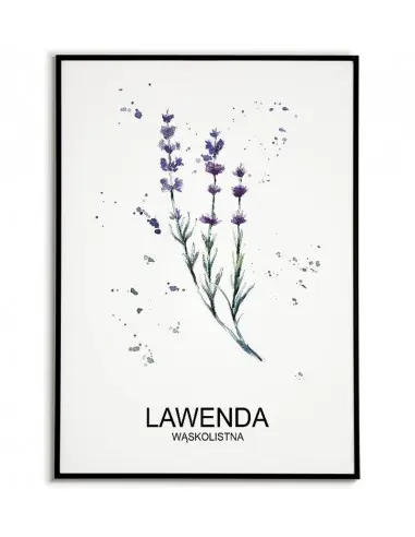 Kitchen herbs poster with lavender and lettering.
