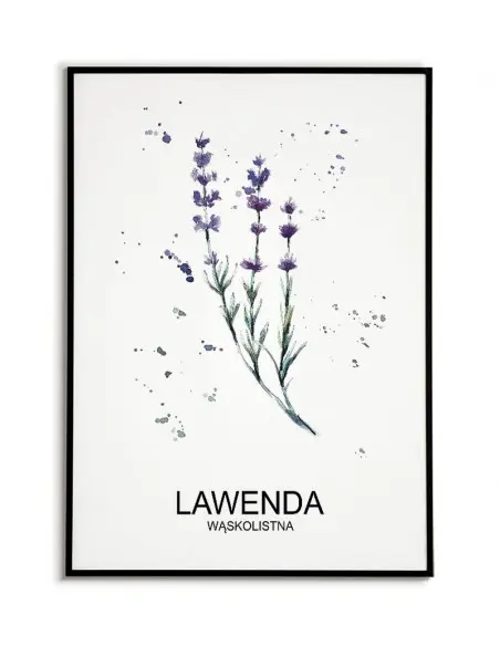 Kitchen herbs poster with lavender and lettering.