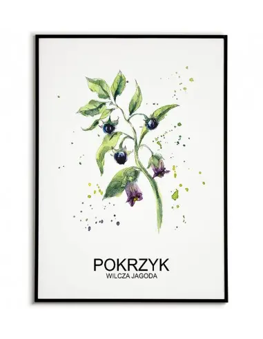 Herbs poster for the kitchen with an exclamation and an inscription. Exclamation poster