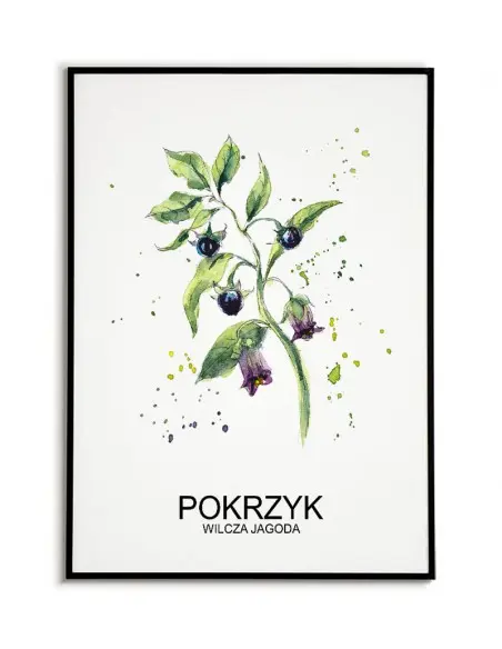 Herbs poster for the kitchen with an exclamation and an inscription. Exclamation poster