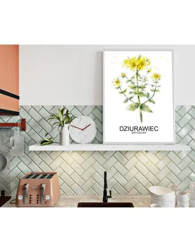 Herbs poster, St. John's wort for the... Herbs poster, St. John's wort for the...