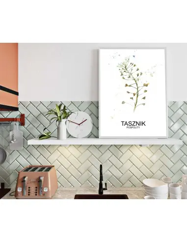 Herbs poster, Tasznik for the kitchen Herbs poster, Tasznik for the kitchen