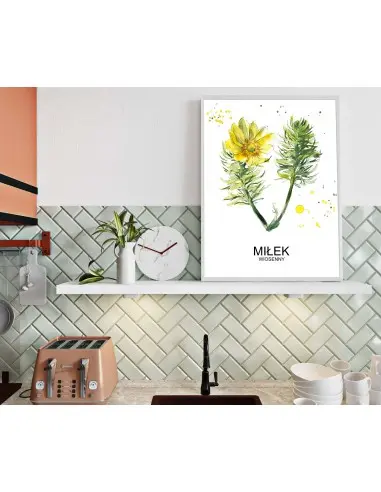 Herbs poster, Miłek to the kitchen Herbs poster, Miłek to the kitchen