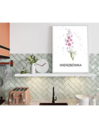 Herbs poster, Wierzbówka for the kitchen Herbs poster, Wierzbówka for the kitchen