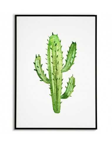 Cactus poster. Artwork on the wall with a cactus in green on a white background.