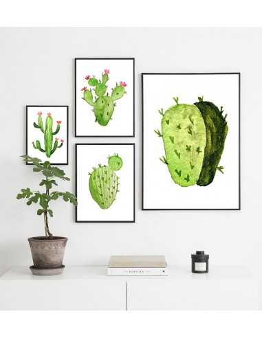 Cactus painted on a white background... Cactus painted on a white background...