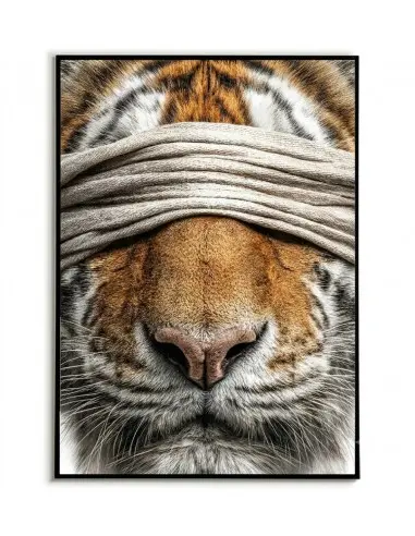 Poster "Mystery Tiger" – Wild... Poster "Mystery Tiger" – Wild...