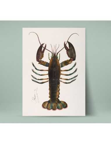Plakat do kuchni z Homarem - grafika do ramki vintage retro Plakat do kuchni z Homarem - grafika do ramki vintage retro