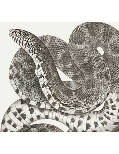 Wall poster with a snake drawing -... Wall poster with a snake drawing -...