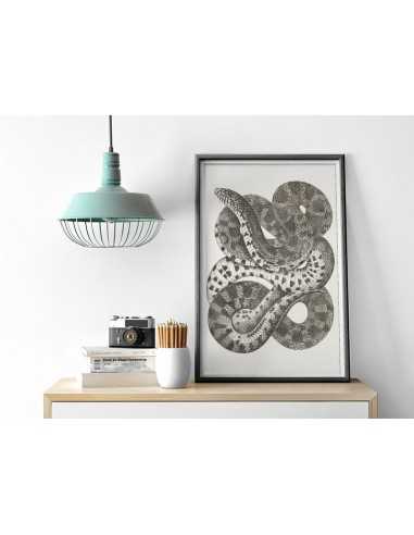 Wall poster with a snake drawing -... Wall poster with a snake drawing -...