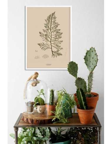 Set of retro botanical posters,... Set of retro botanical posters,...