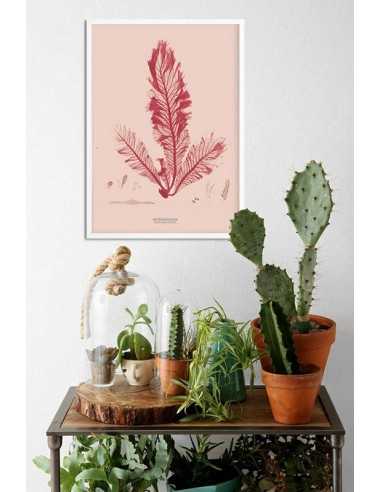 Set of retro botanical posters,... Set of retro botanical posters,...