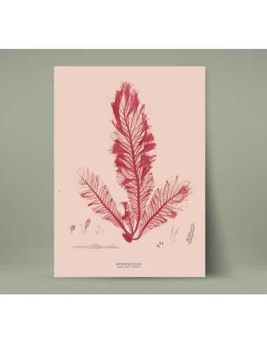 Set of retro botanical posters,... Set of retro botanical posters,...