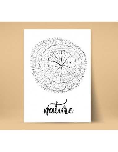 plakat botaniczny z pniem starego drzewa do domu do salonu w naszym sklepie z plakatami plakat botaniczny z pniem starego drzewa do domu do salonu w naszym sklepie z plakatami