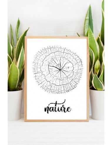 plakat botaniczny z pniem starego drzewa do domu do salonu w naszym sklepie z plakatami plakat botaniczny z pniem starego drzewa do domu do salonu w naszym sklepie z plakatami