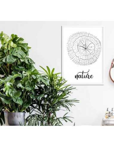 The trunk of an old tree - Botanical... The trunk of an old tree - Botanical...