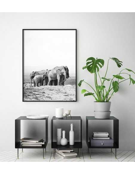 family of elephants, Scandinavian poster with black and white