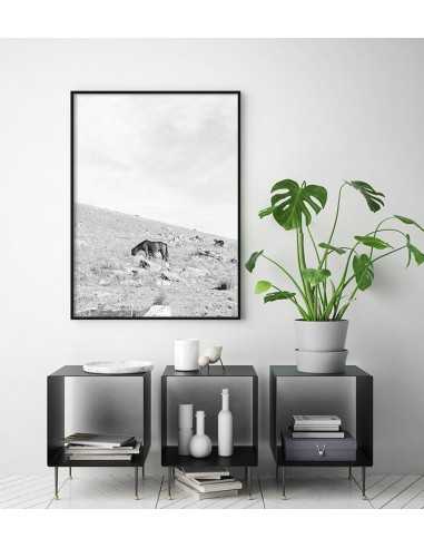 Scandinavian black-and-white poster with a wild horse grazing in the mountains Scandinavian black-and-white poster with a wild horse grazing in the mountains