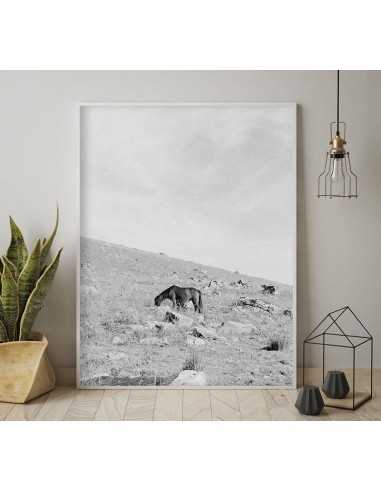 Scandinavian black-and-white poster with a wild horse grazing in the mountains Scandinavian black-and-white poster with a wild horse grazing in the mountains