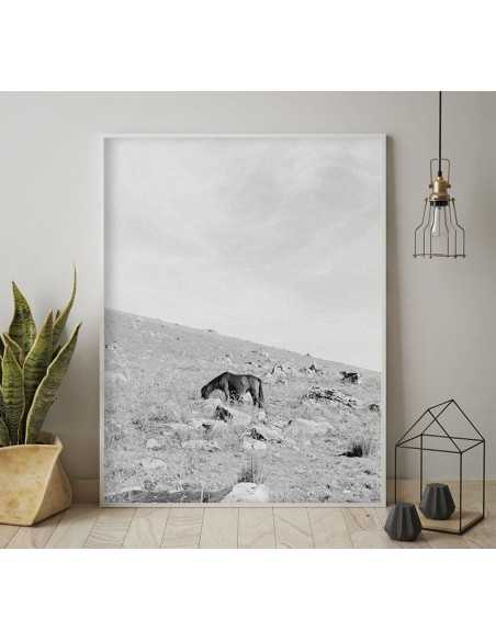 Scandinavian black-and-white poster with a wild horse grazing in the mountains Scandinavian black-and-white poster with a wild horse grazing in the mountains